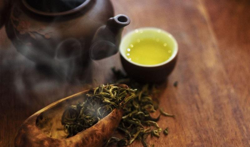 Trà Shan Tuyết - Món quà cho sức khỏe